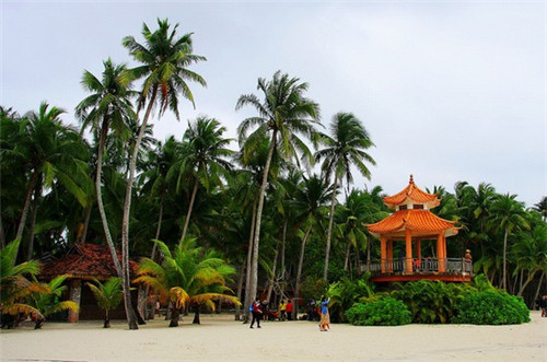 西雅图蛋糕烘焙坊