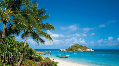 很范鲍汁脱骨鸡