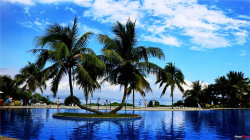 御禧贡茶加盟开店会亏吗，贡茶加盟连锁哪家靠谱