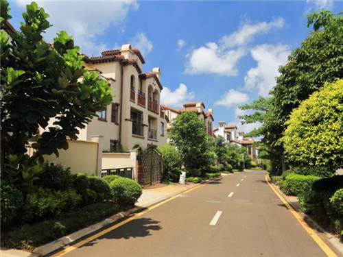 宾川县开店薰衣草精油加盟没经验开什么店好