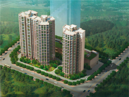 温州森林哪里好玩（温州的森林覆盖率）