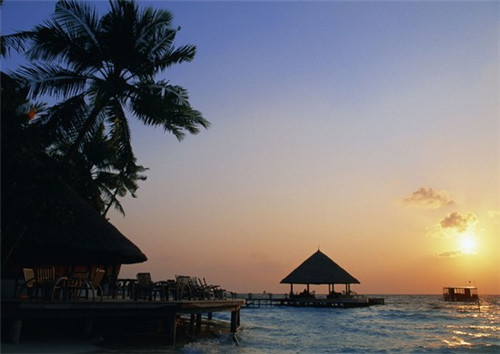 手游卡莎出夺取吗（卡莎上手）